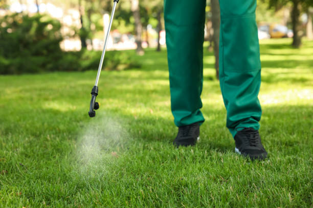 Best Residential Pest Control  in Pinewood Estates, TX