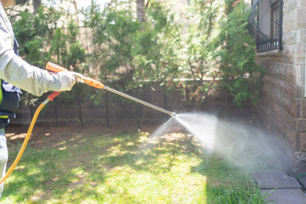 Reliable Pinewood Estates, TX Pest Control Solutions