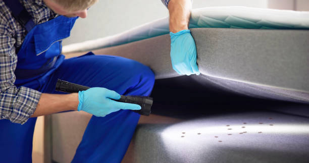 Pest Prevention Services in Pinewood Estates, TX