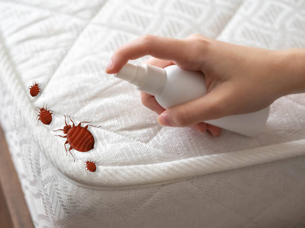 Best Pest Control Near Me in Pinewood Estates, TX