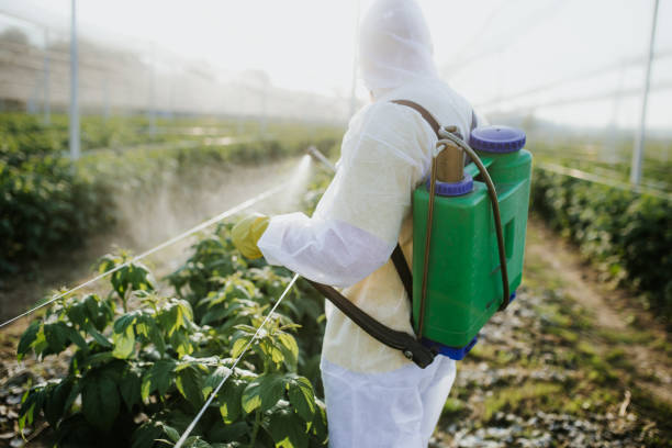 Best Affordable Pest Control Services  in Pinewood Estates, TX